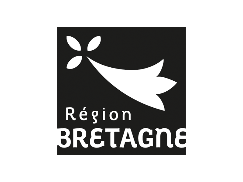 Logo Region Bretagne Noir et Blanc